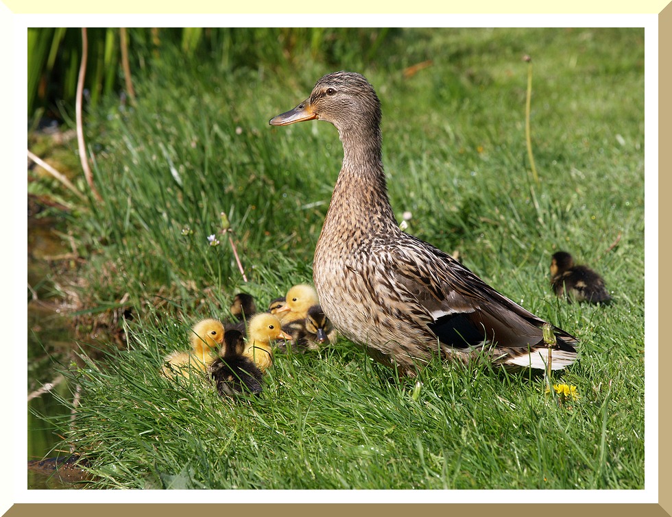 Familienausflug