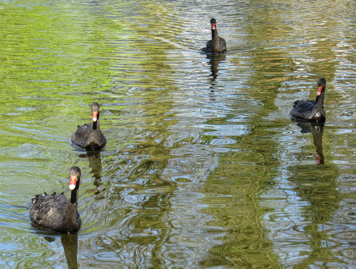 Familienausflug