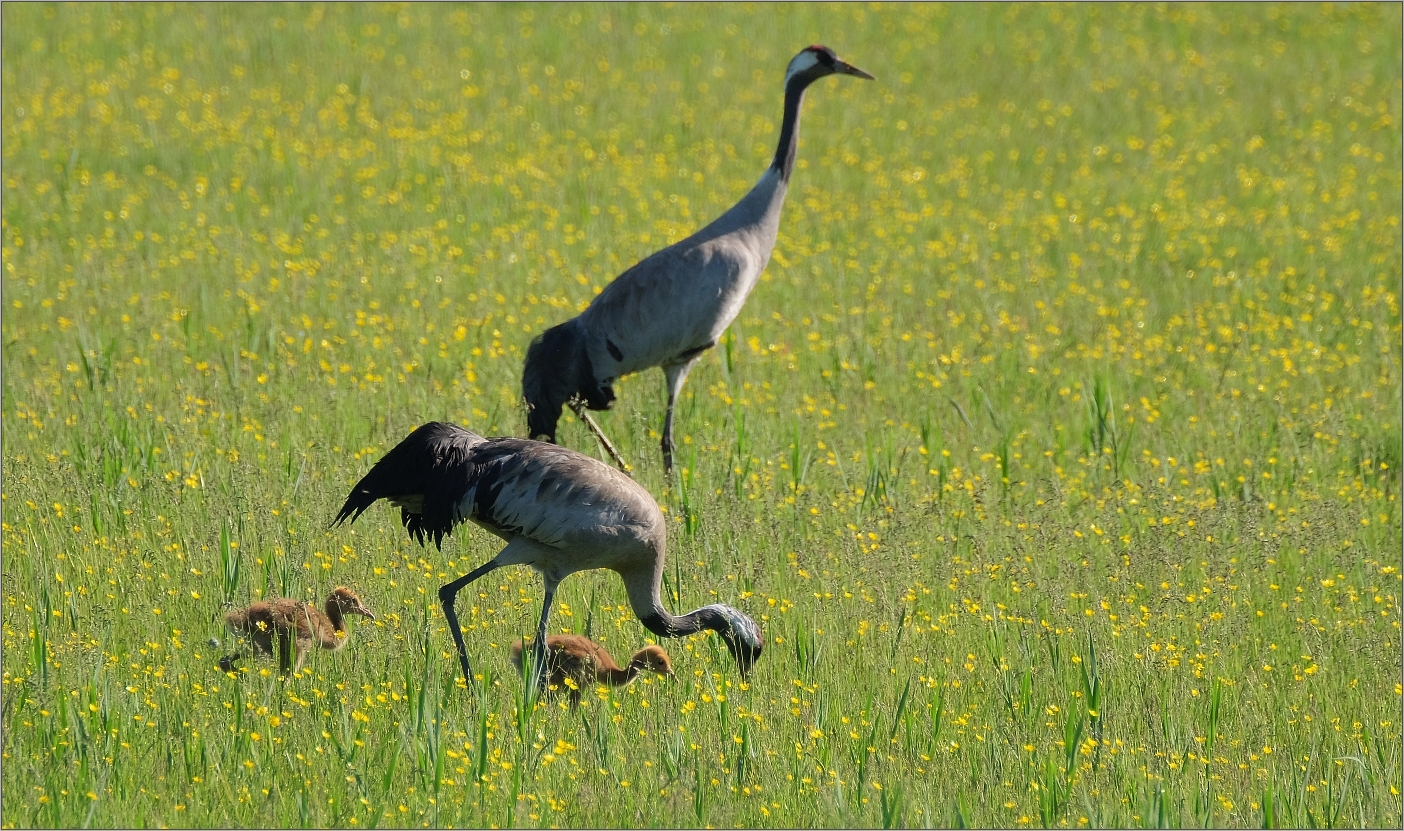 Familienausflug