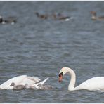 Familienausflug