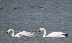 Familienausflug