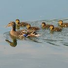 Familienausflug