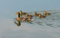 Familienausflug