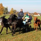 Familienausflug am 1. November