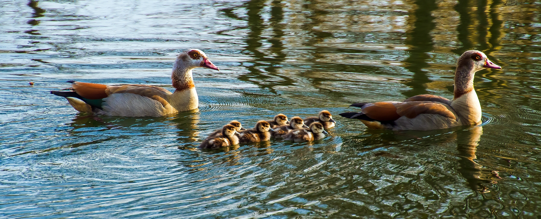 Familienausflug am Abend