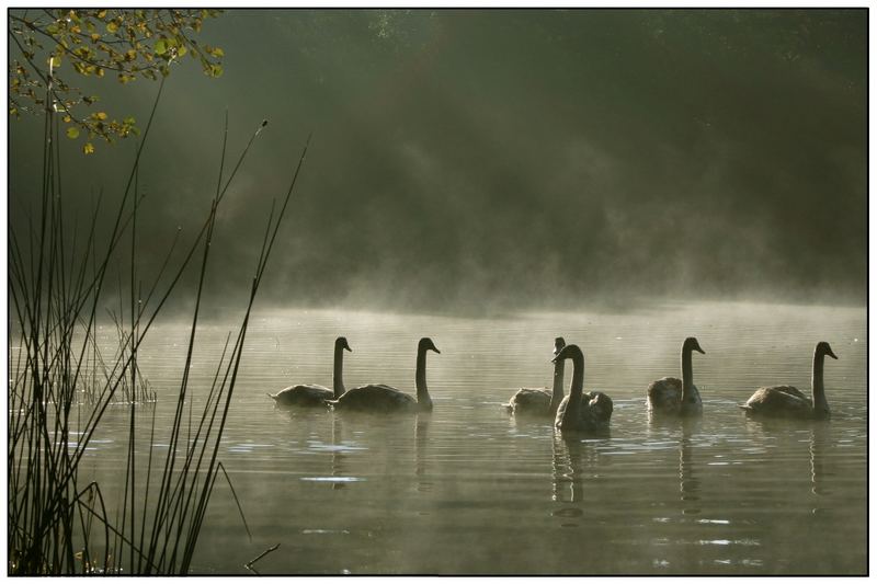 Familienausflug am Morgen