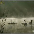 Familienausflug am Morgen