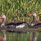 Familienausflug am Obermooser See