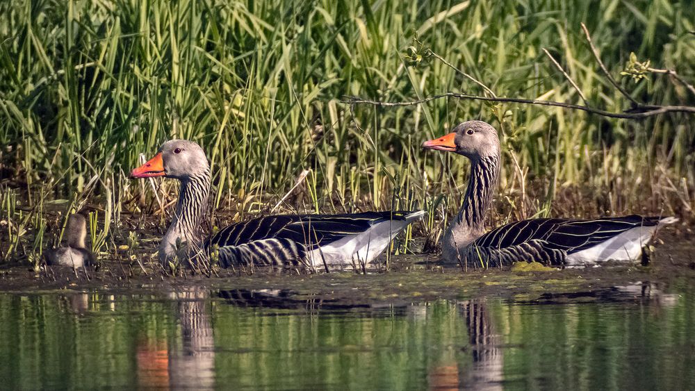 Familienausflug am Obermooser See