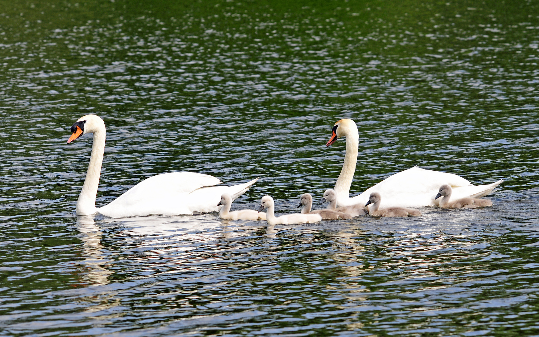 Familienausflug am Vatertag