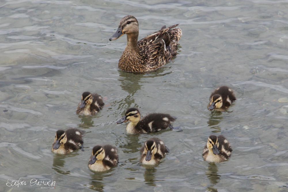 Familienausflug am Wörthersee