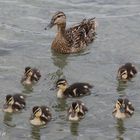 Familienausflug am Wörthersee