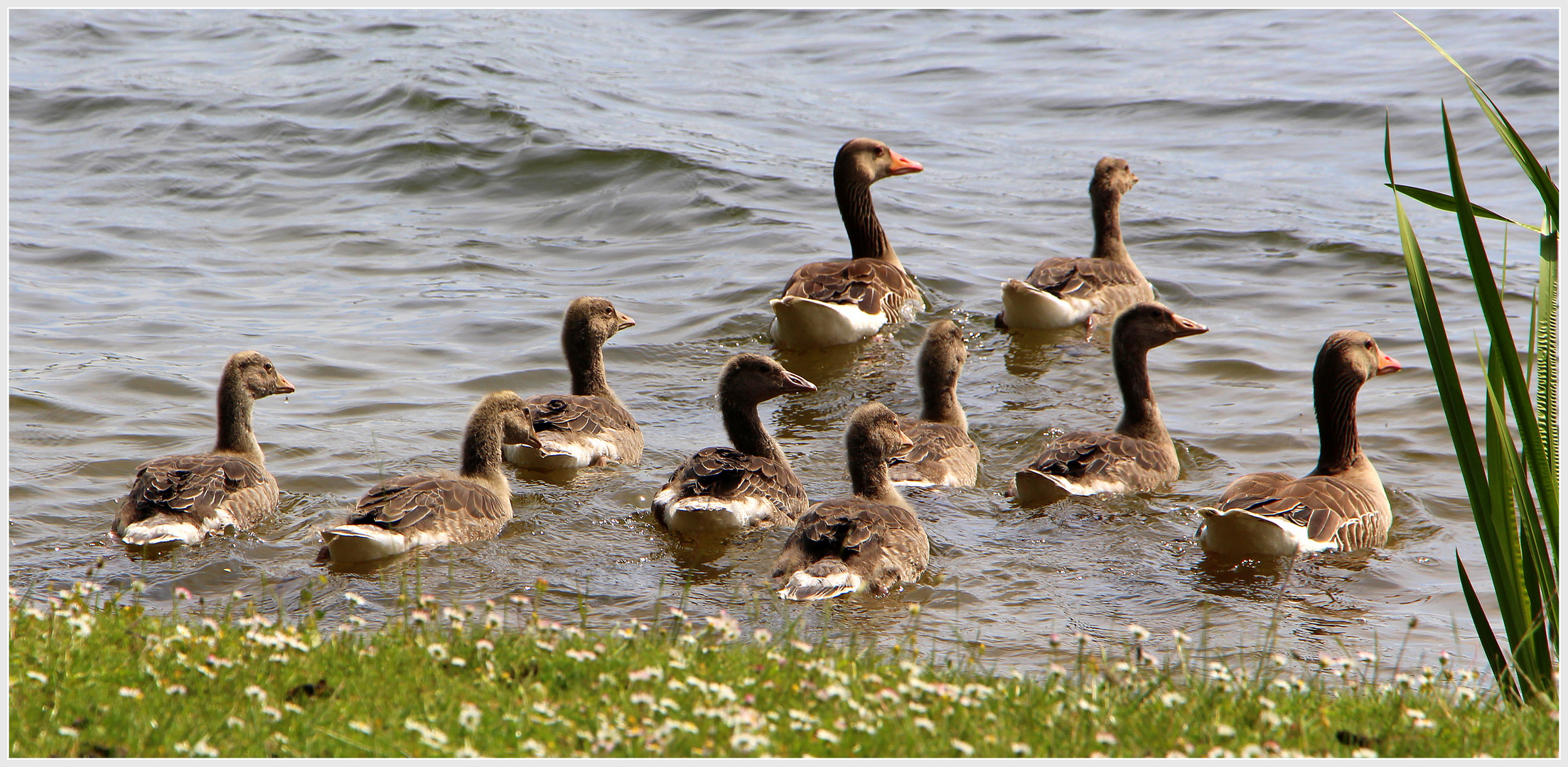 Familienausflug auf dem Scharmützelsee