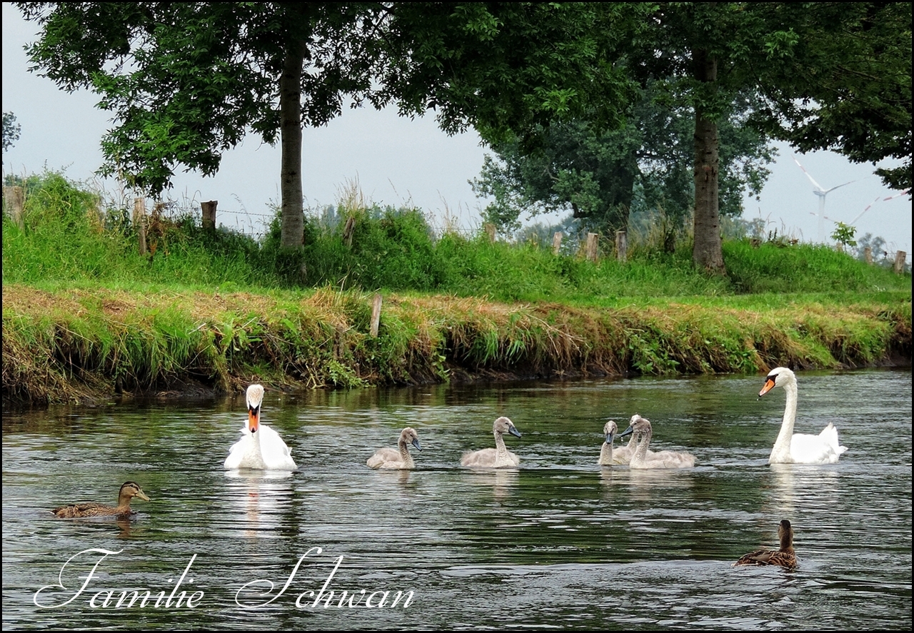 Familienausflug auf der Niers