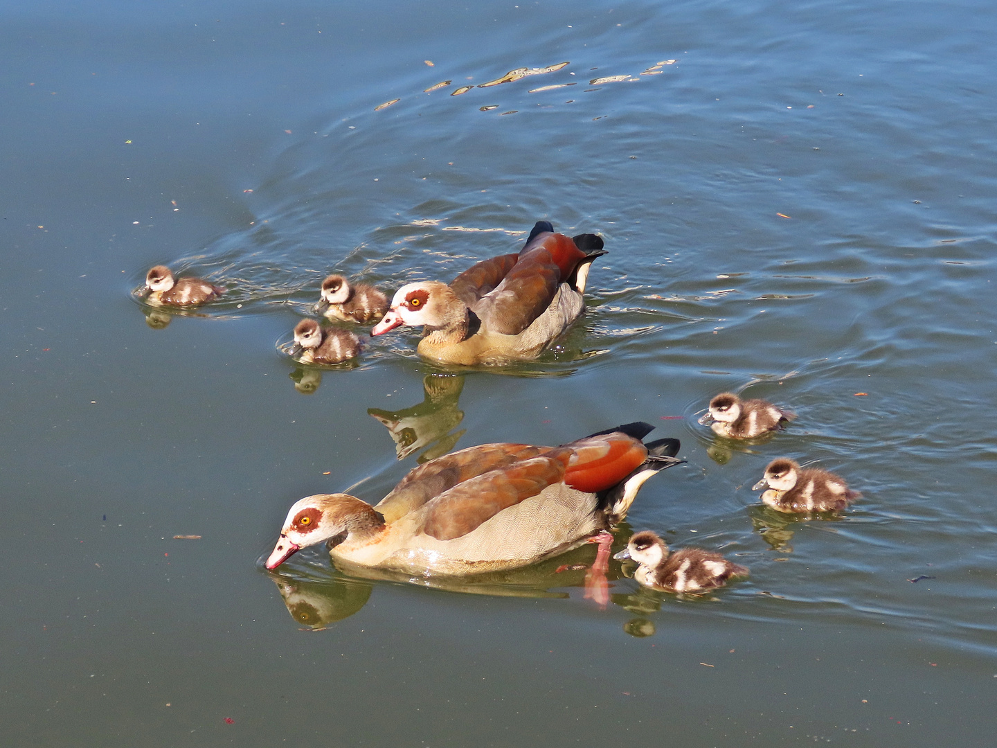 Familienausflug auf der Saar