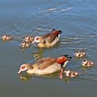 Familienausflug auf der Saar