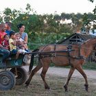 Familienausflug auf kubanisch