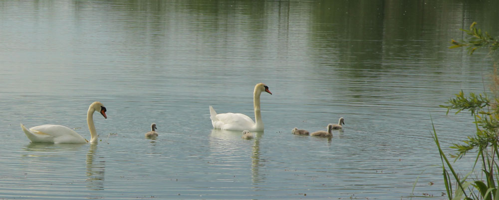 Familienausflug