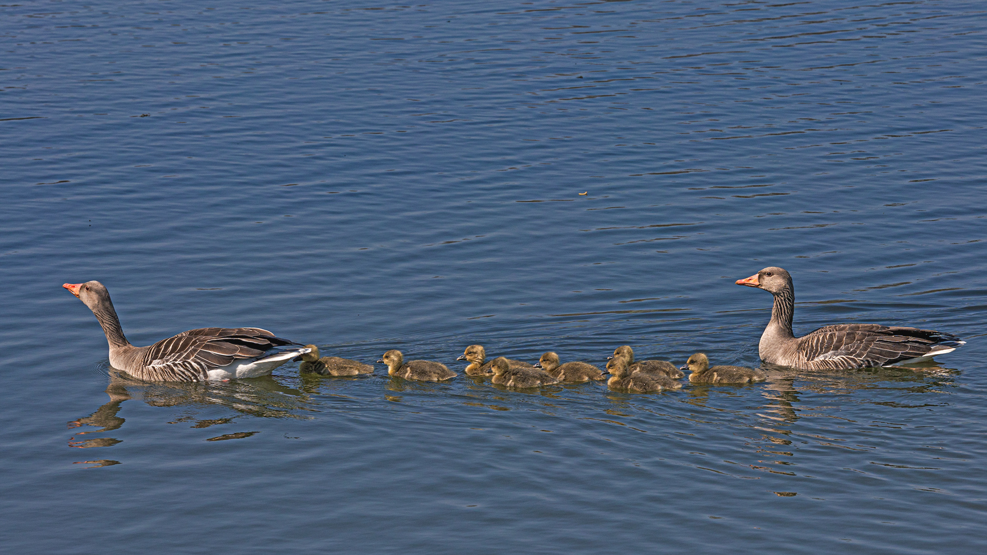 Familienausflug