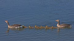 Familienausflug