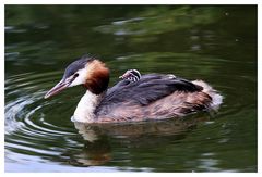 Familienausflug