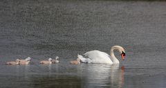 Familienausflug