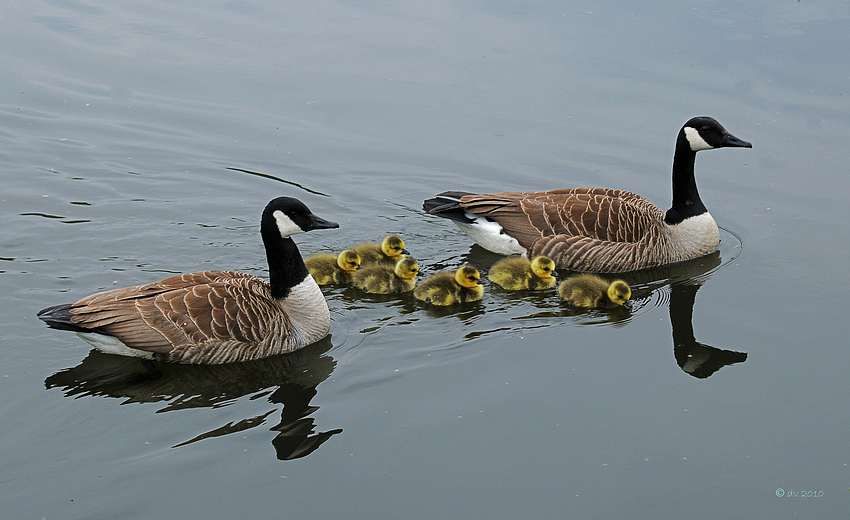 Familienausflug