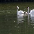 Familienausflug