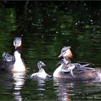 Familienausflug ....