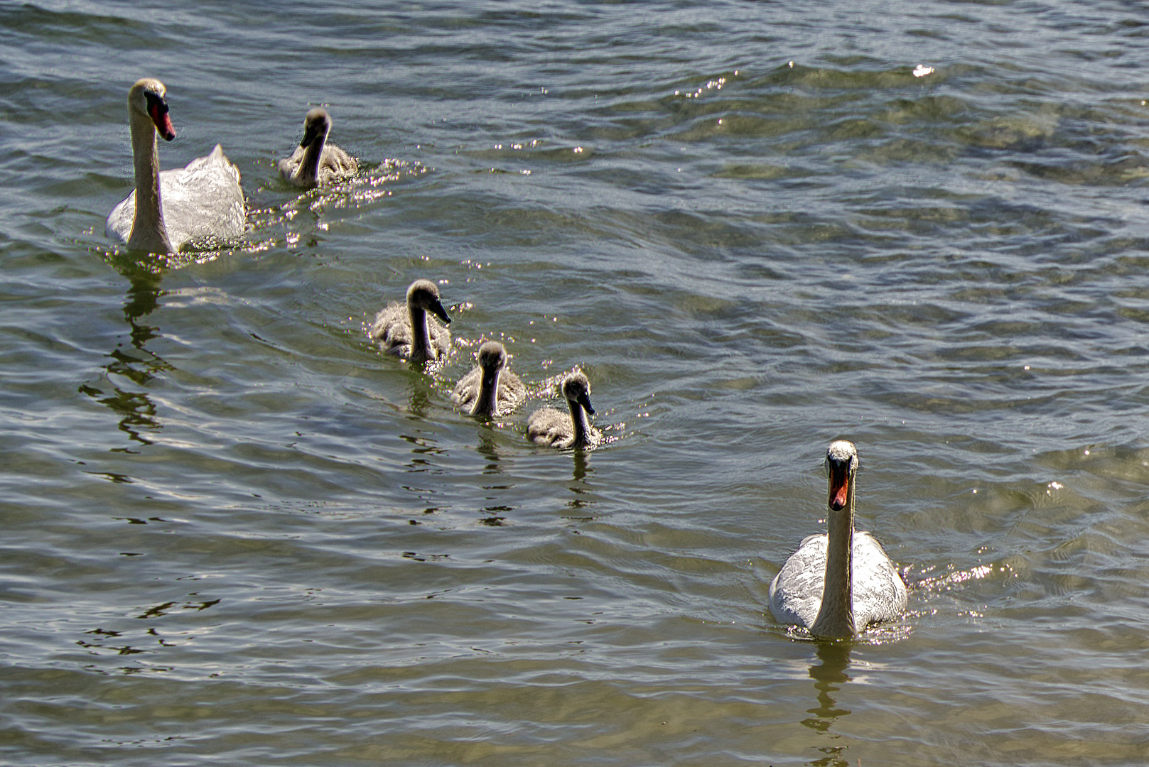 Familienausflug