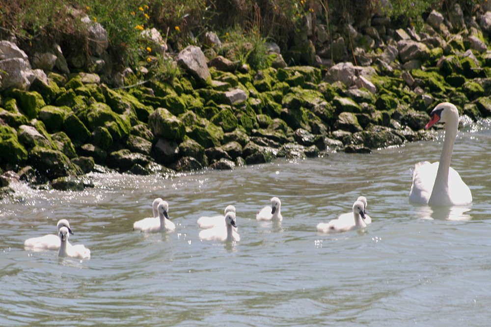 Familienausflug