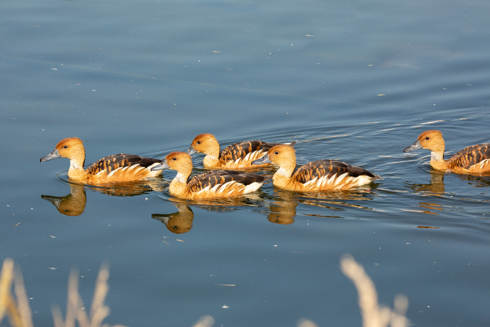 Familienausflug