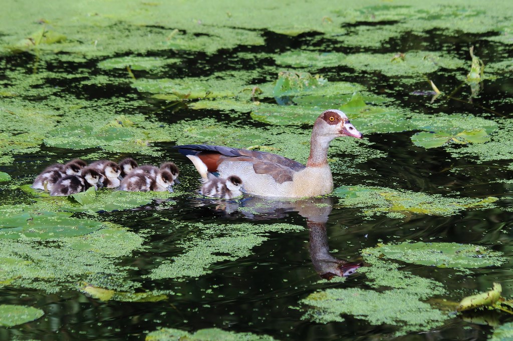 Familienausflug