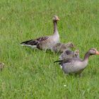 Familienausflug