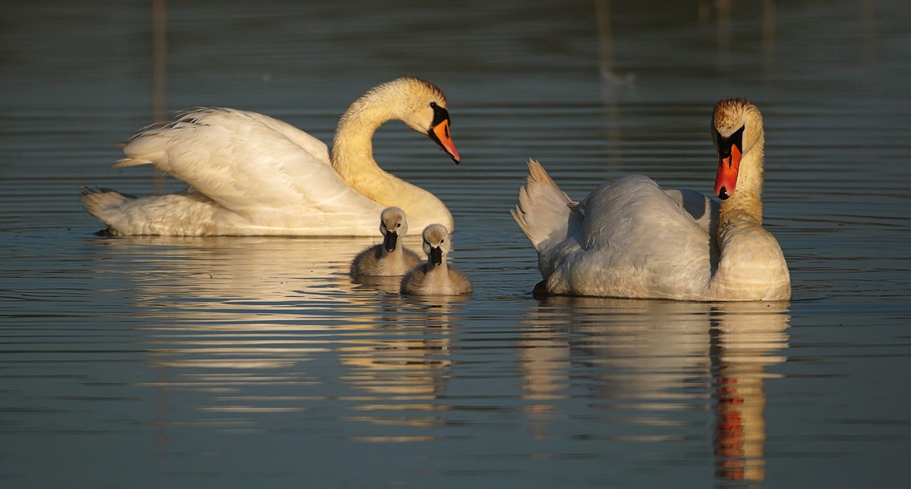 Familienausflug