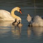 Familienausflug