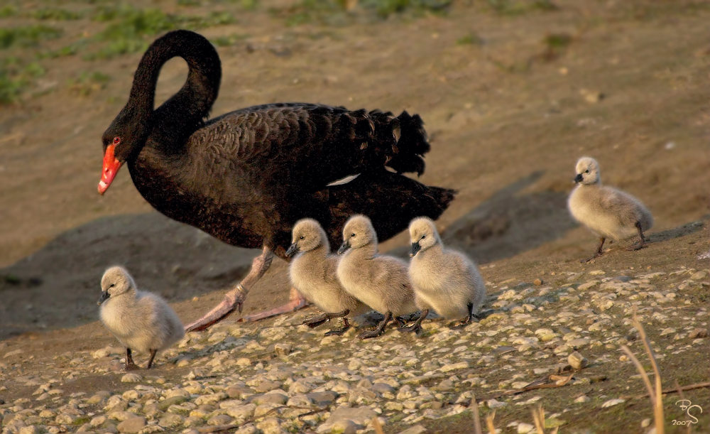 Familienausflug...