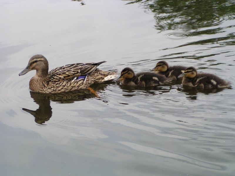 Familienausflug