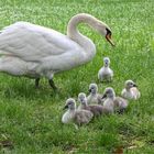 Familienausflug bei Fam. Schwan