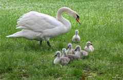 Familienausflug bei Fam. Schwan