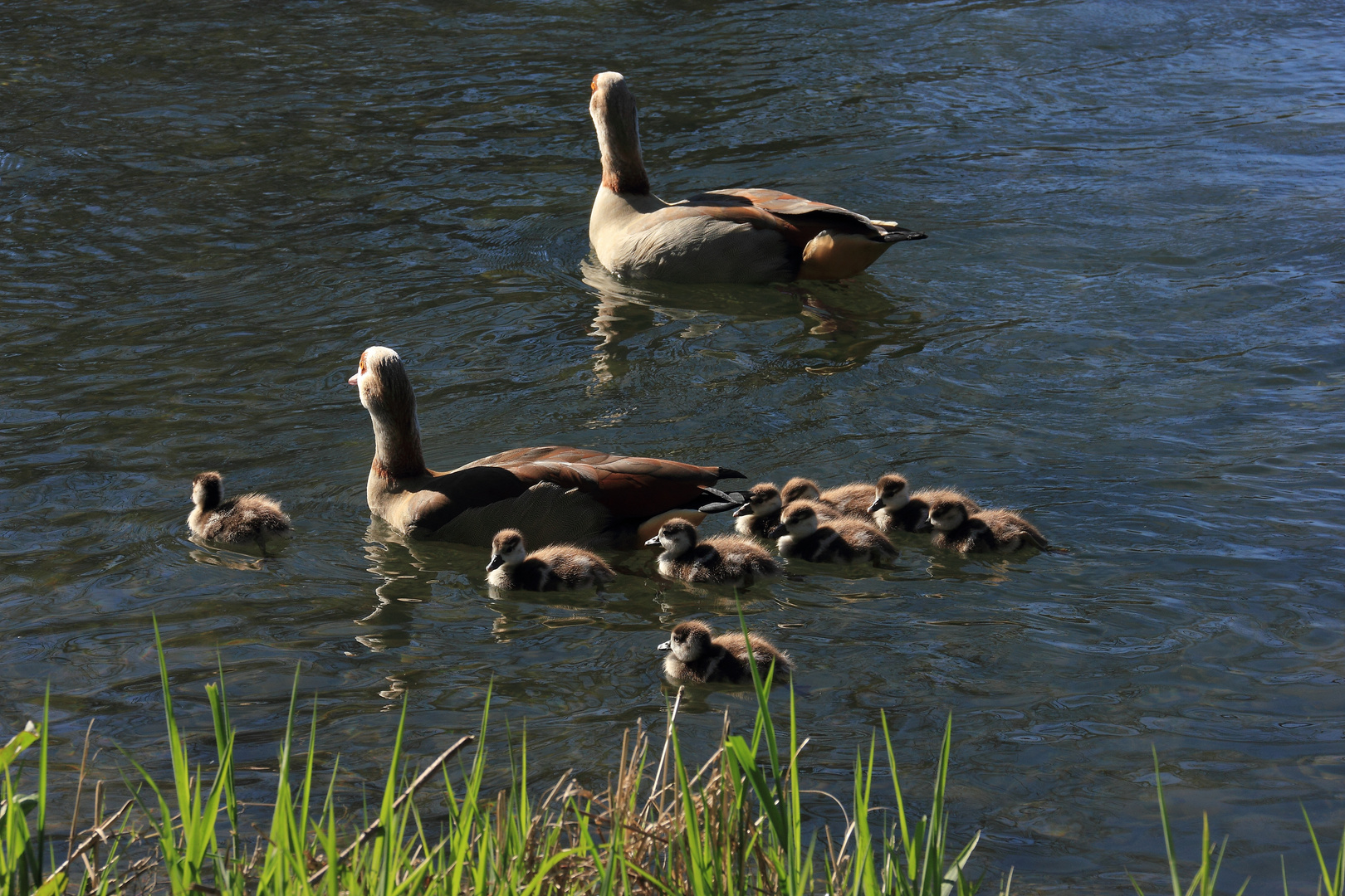 Familienausflug