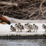 Familienausflug