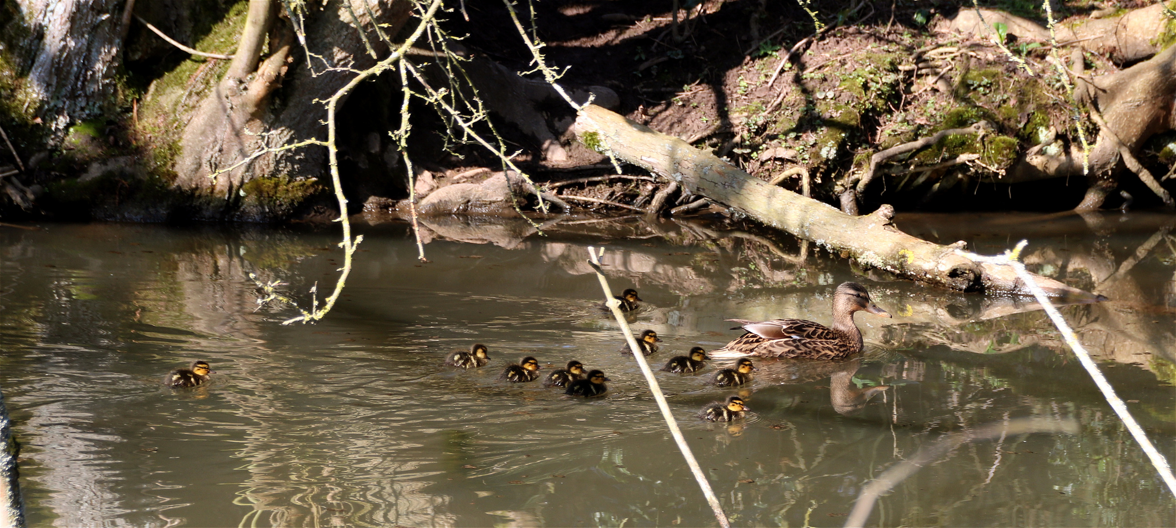 Familienausflug......