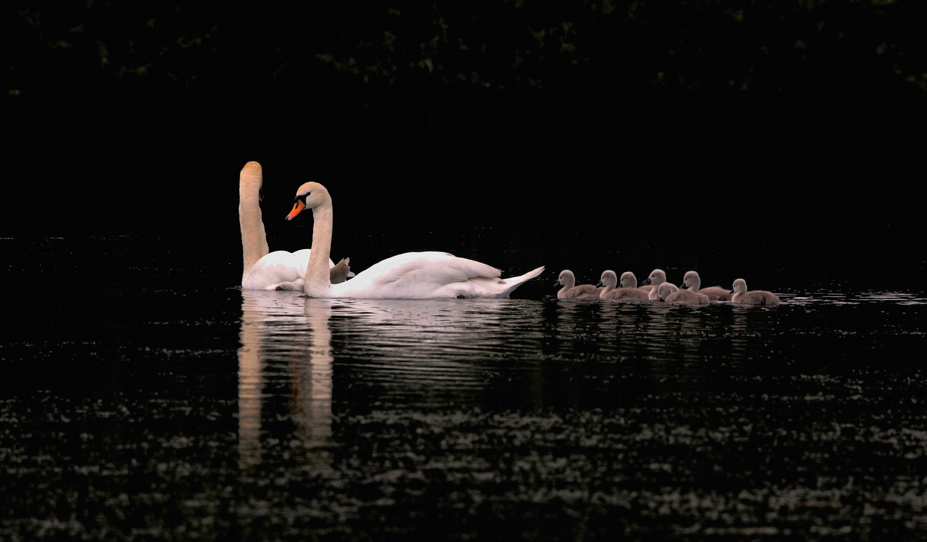 Familienausflug...