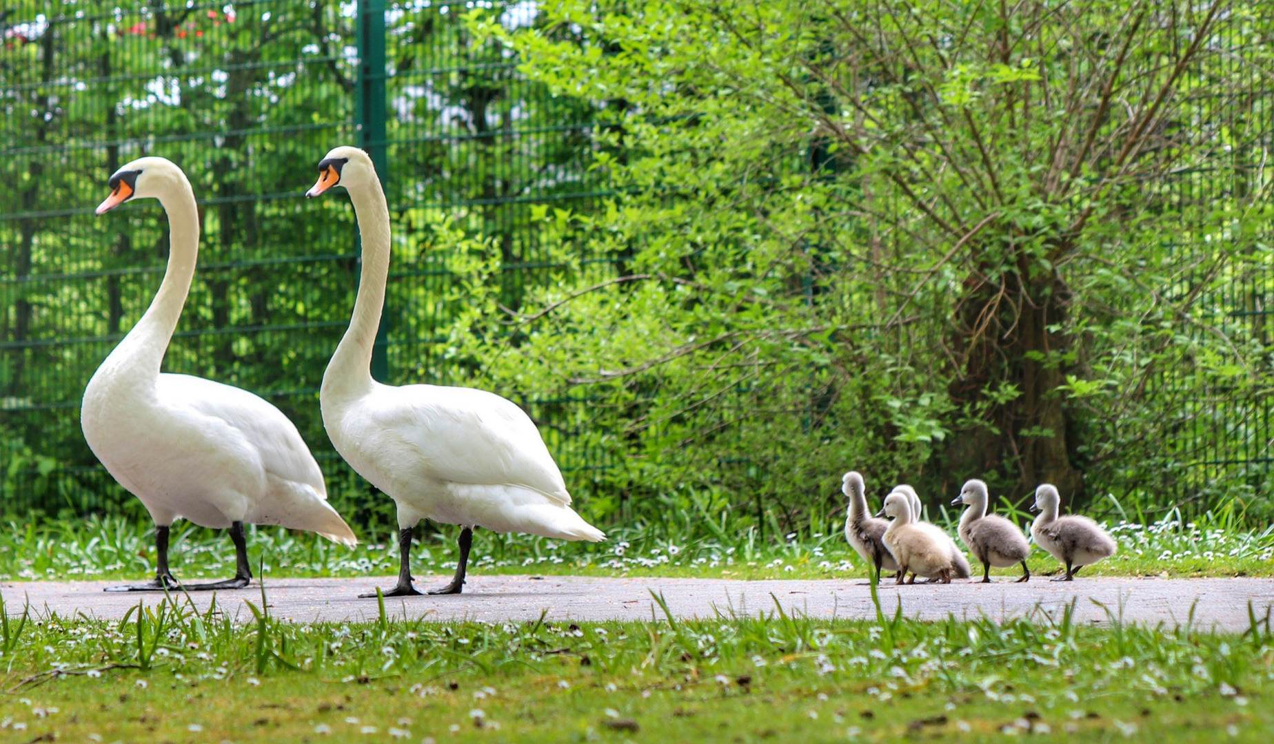 Familienausflug...