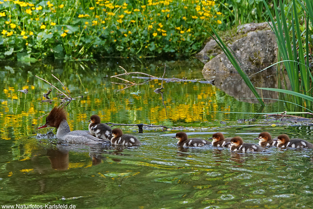 Familienausflug