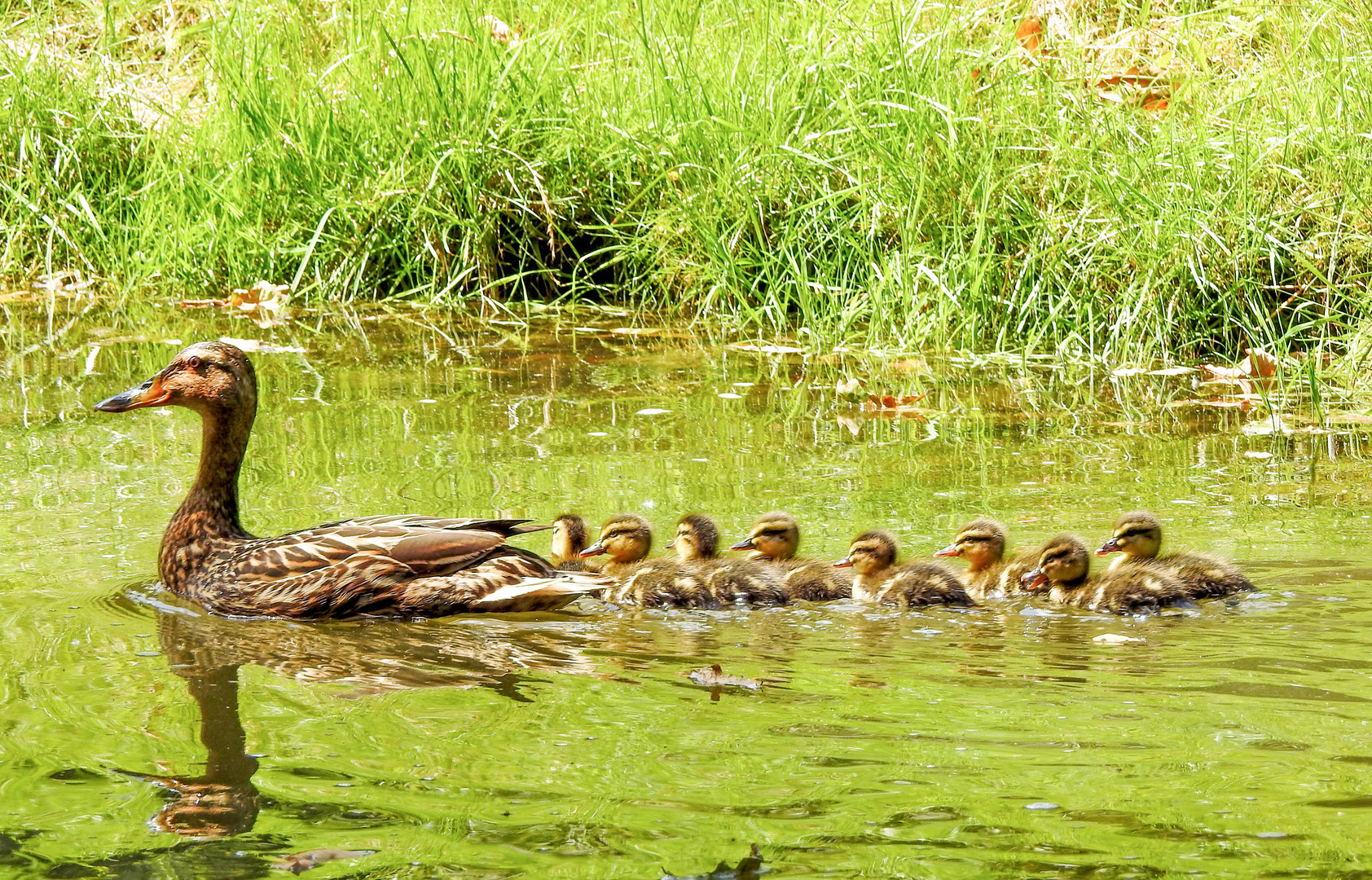 Familienausflug