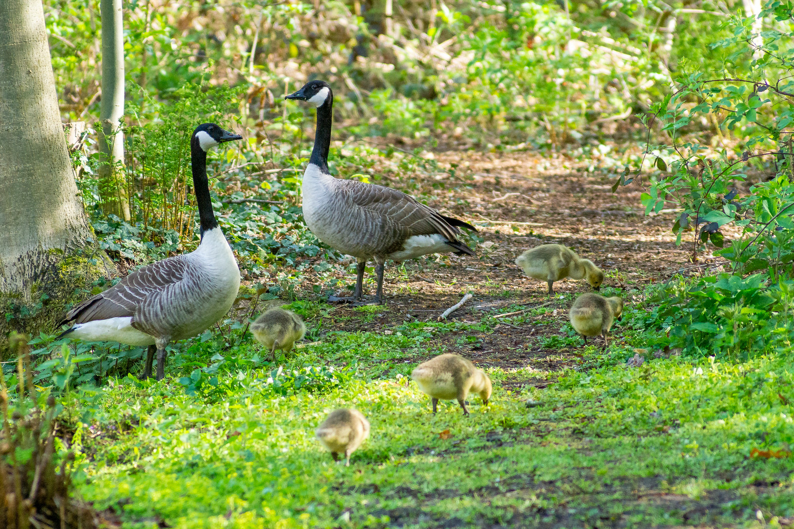 Familienausflug