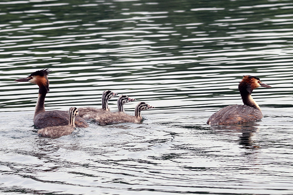 Familienausflug