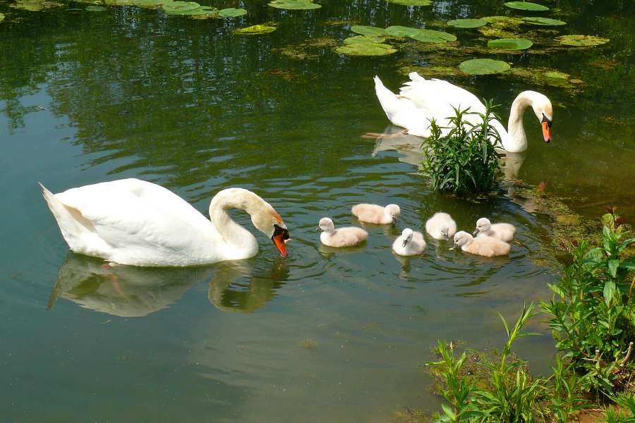 Familienausflug